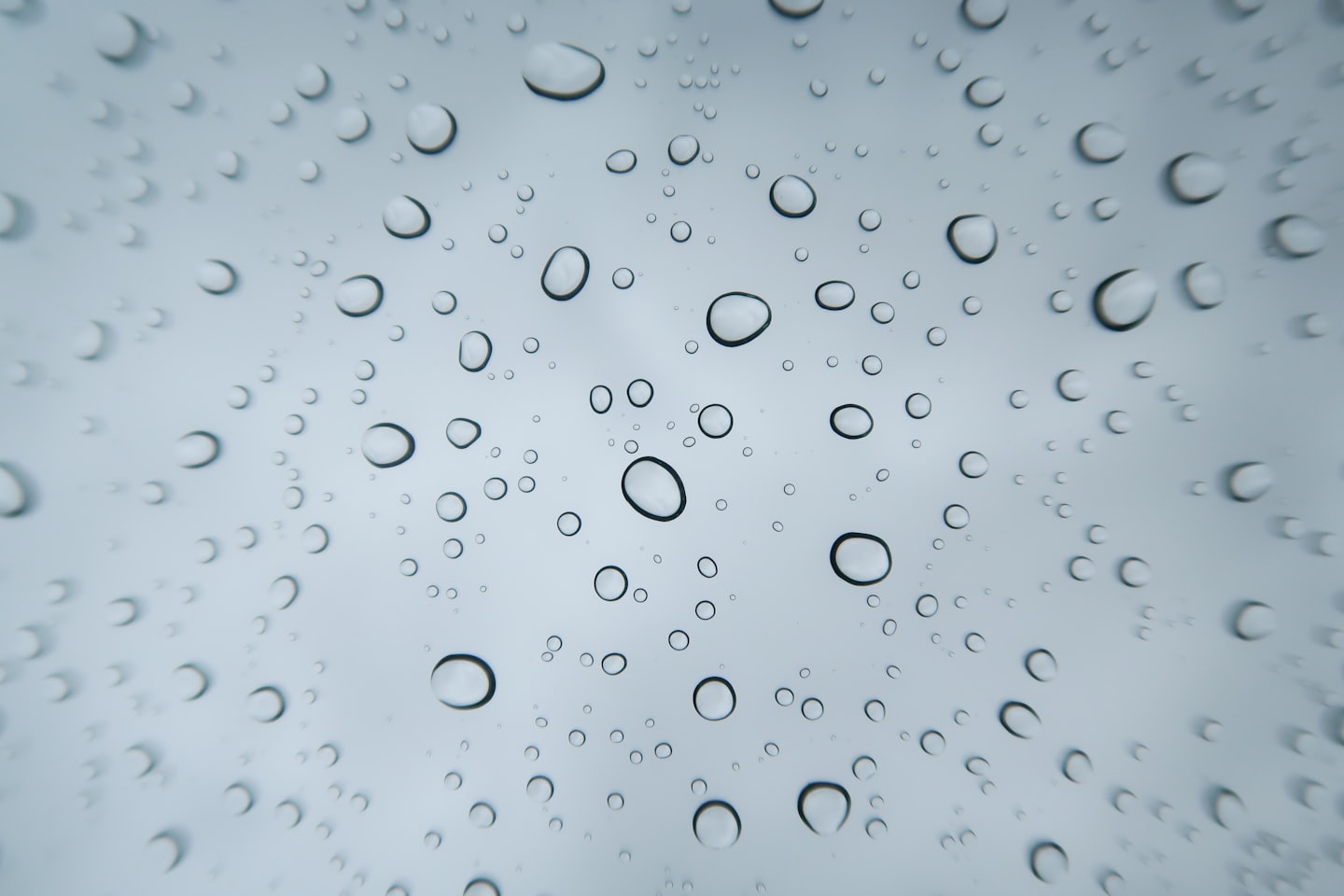 401964833074bb888634f563aba0b7eacc94f9f6