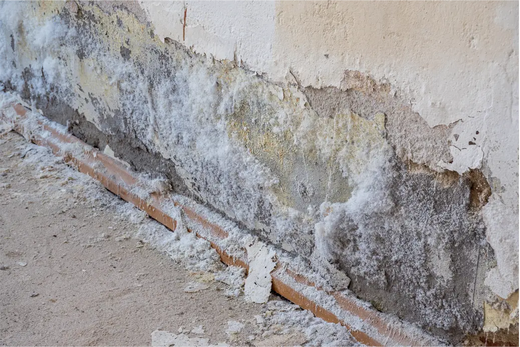 remontee capillaire salpetre